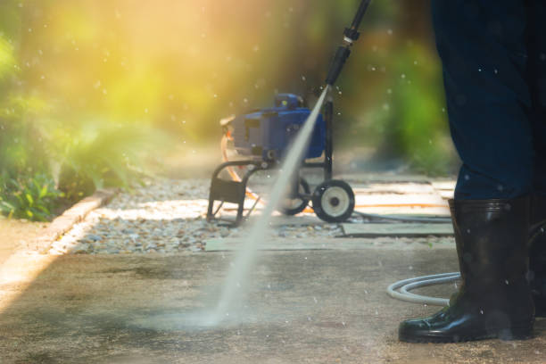 Best Driveway Pressure Washing  in Alamo, CA